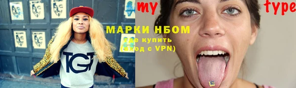 прущие грибы Алексин