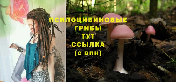 дживик Аркадак