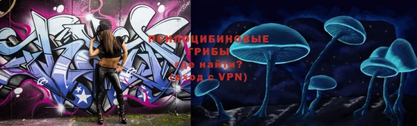 прущие грибы Алексин