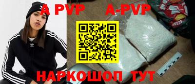спиды Гатчина